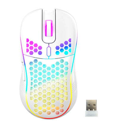Luminous Gaming Mouse